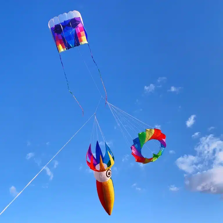 Cerf-volant arc-en-ciel 6