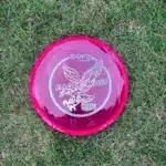 Disque disk golf rouge 1