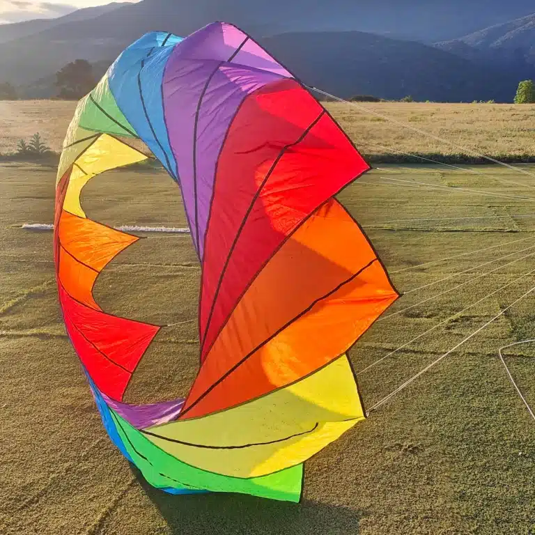 Cerf-volant arc-en-ciel 5