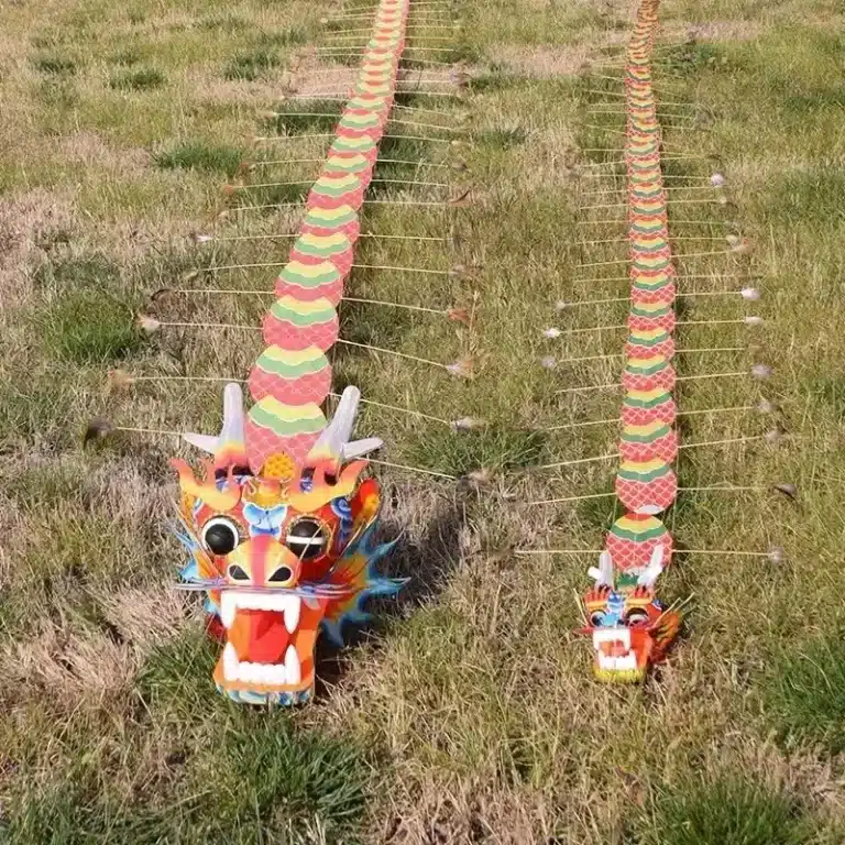 Cerf-volant dragon 5