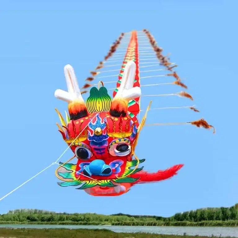 Cerf-volant dragon 9