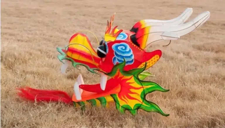 Cerf-volant dragon 15