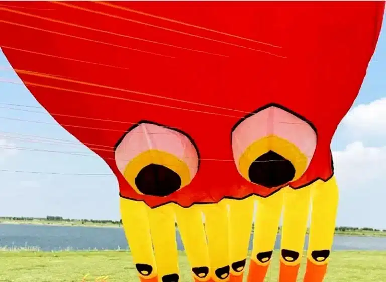 Cerf-volant pieuvre 13