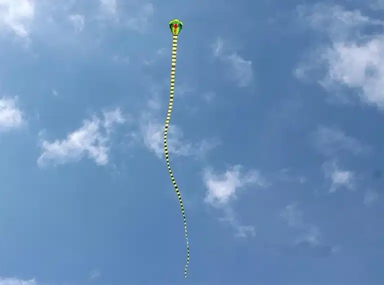 Cerf-volant cobra 3