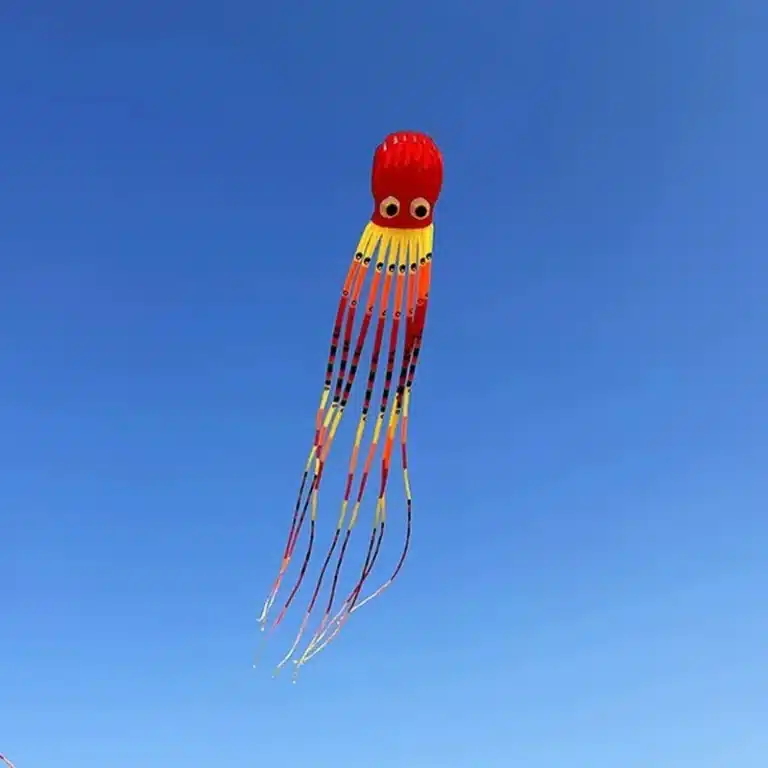 Cerf-volant pieuvre 3