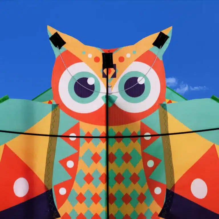 Cerf-volant chouette 4