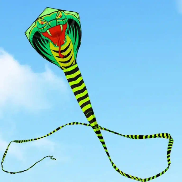 Cerf-volant cobra 1