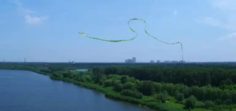 Cerf-volant cobra 6