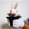 Chapeau magique et lapin