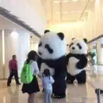 Mascotte panda 10