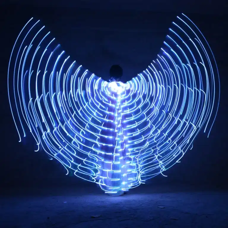 Ailes de papillon LED 2