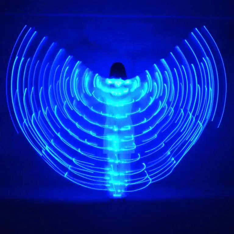 Ailes de papillon LED 5