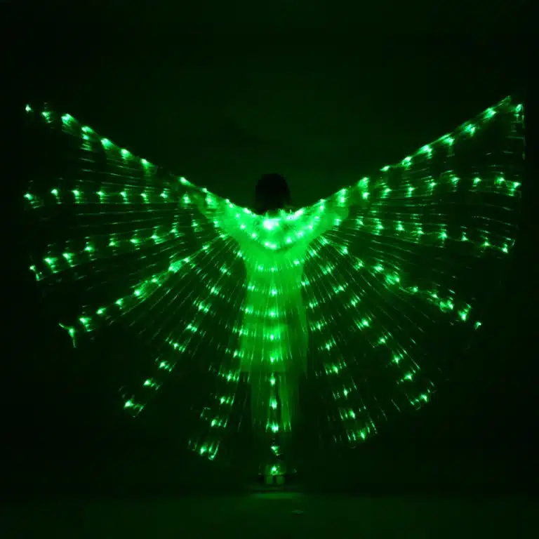 Ailes de papillon LED 6