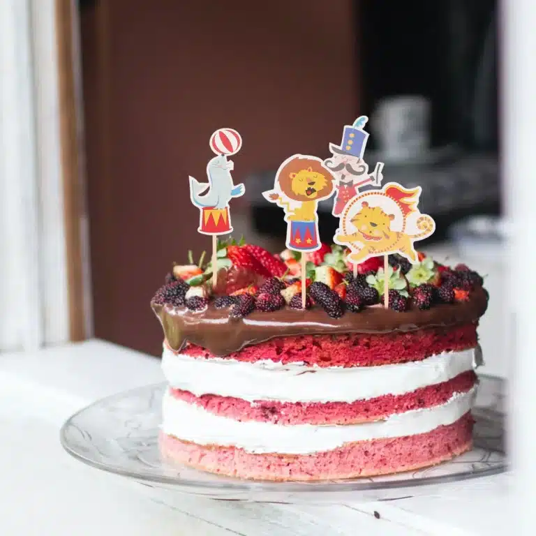 Pics décoration gâteau cirque 5