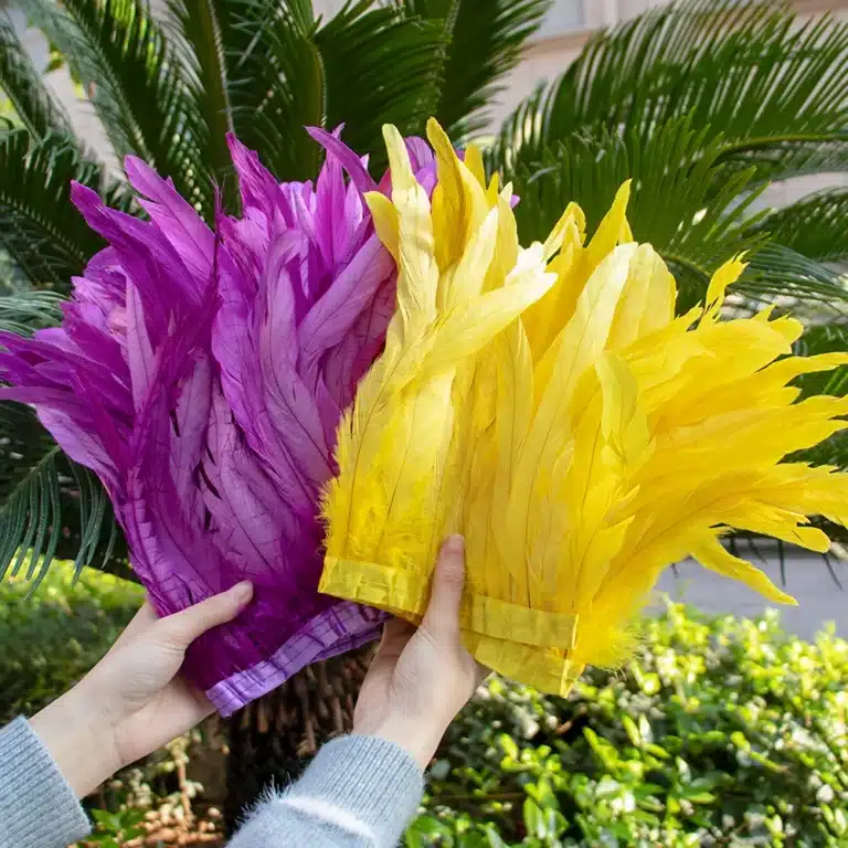 Ruban de plumes (25-30cm) 43