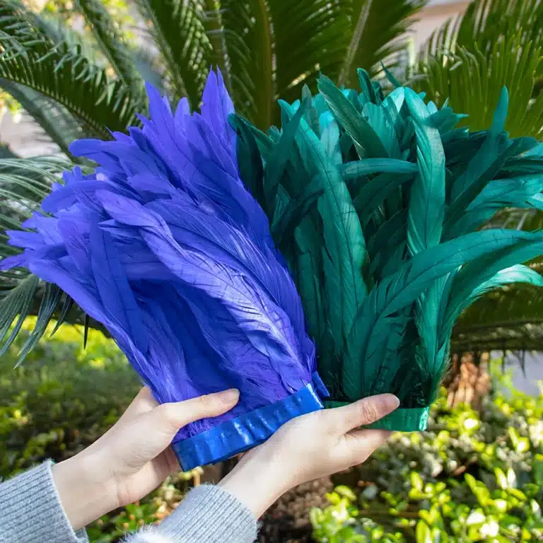 Ruban de plumes (25-30cm) 41