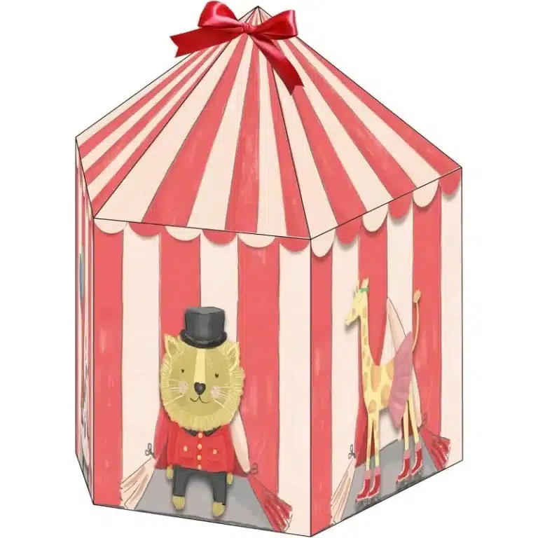 Boîtes à cadeaux Cirque (lot de 8) 4
