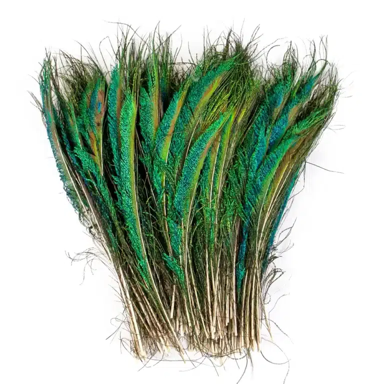 Group plume de paon 25-50cm, pour bricolage, artisanat, bijoux, vase, décor de table, porcelaine, scène, spectacle, vêtements de mariage, accessoires de robe, 10 pièces 5