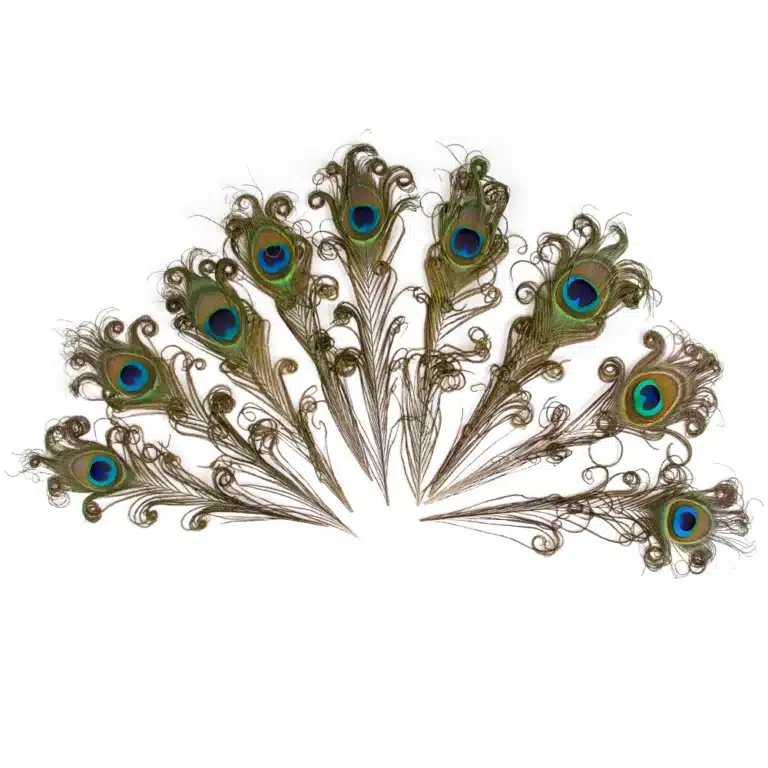 Group plume de paon 25-50cm, pour bricolage, artisanat, bijoux, vase, décor de table, porcelaine, scène, spectacle, vêtements de mariage, accessoires de robe, 10 pièces 7