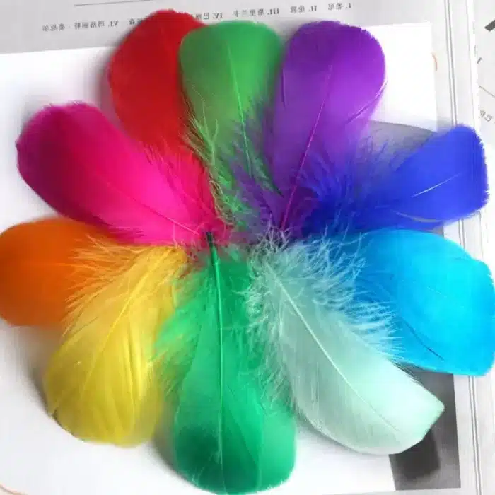 Plumes colorées (lot de 100) 1