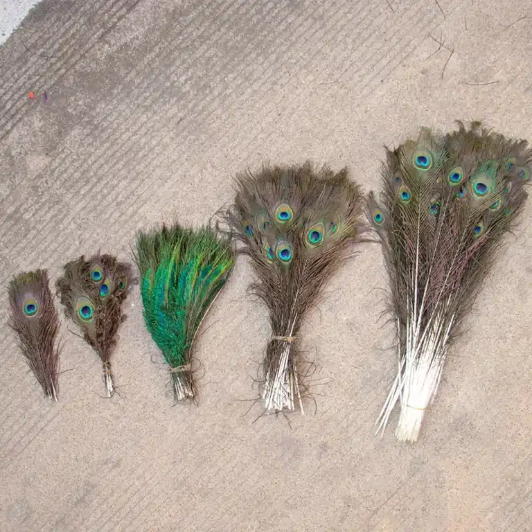 Group plume de paon 25-50cm, pour bricolage, artisanat, bijoux, vase, décor de table, porcelaine, scène, spectacle, vêtements de mariage, accessoires de robe, 10 pièces 6