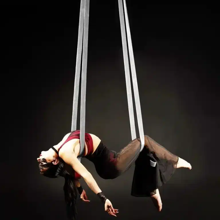 Sangles aériennes (2m50) 4