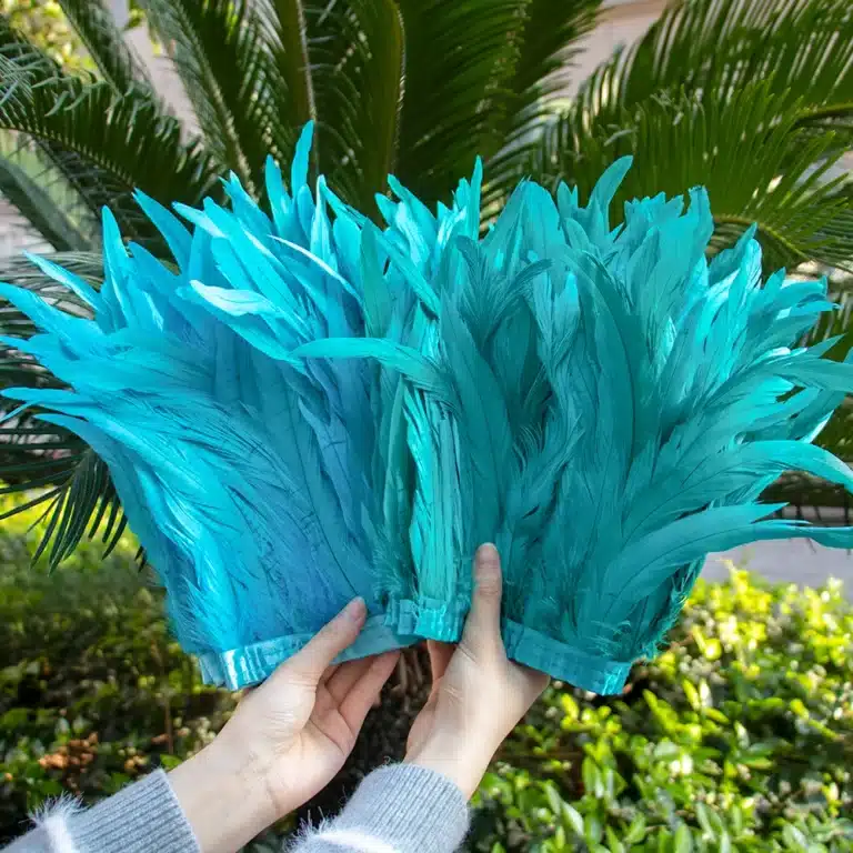 Ruban de plumes (25-30cm) 3
