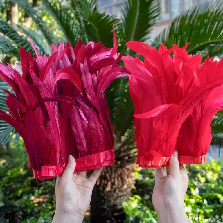 Ruban de plumes (25-30cm) 42