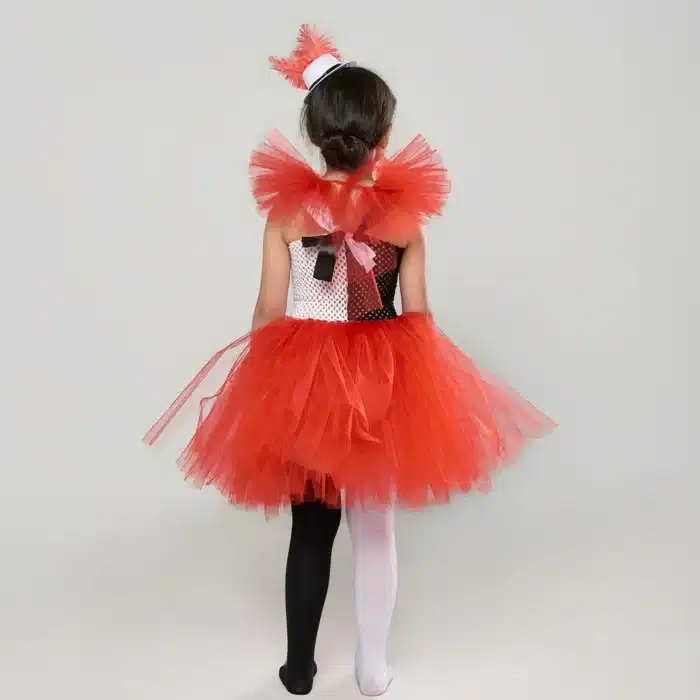 Déguisement de clown fille 3