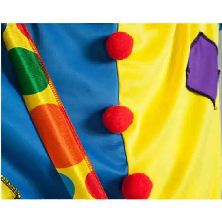 Costume de clown fête 5