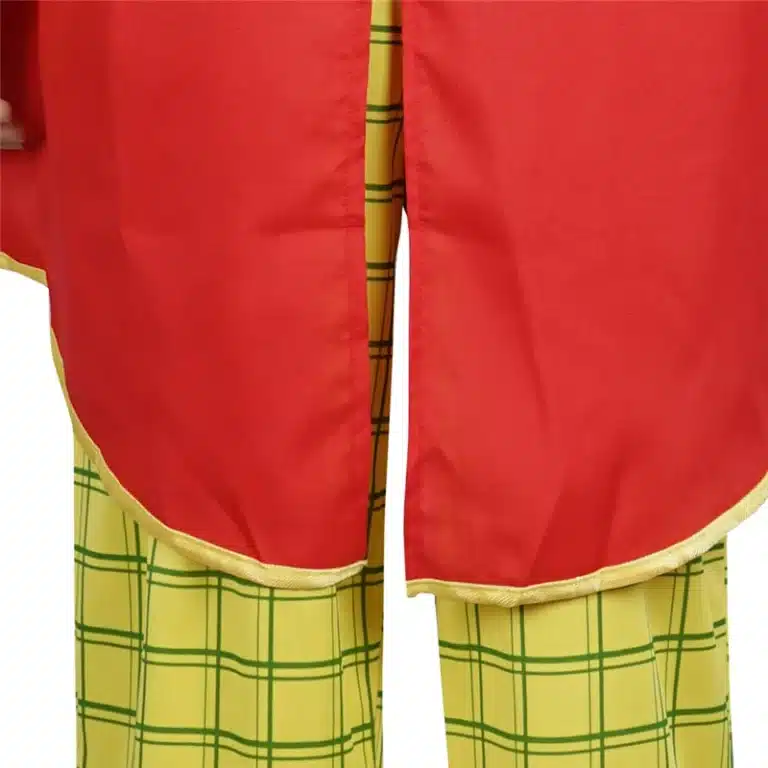 Costume de clown fou 6