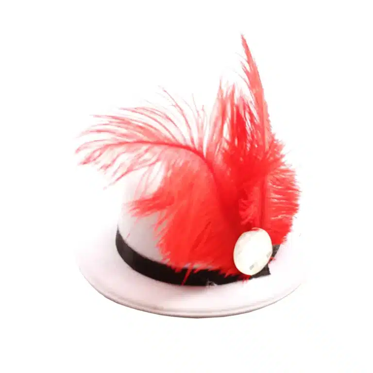 Déguisement de clown fille 20