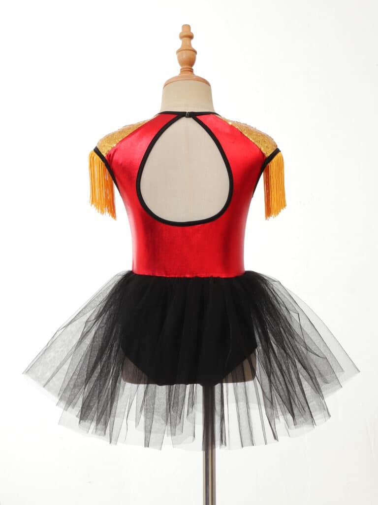 Justaucorps cirque fille 28