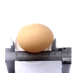 1355389077-700x700_cleanup
