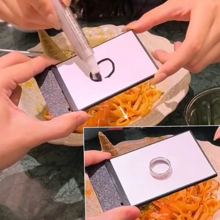 Transformation dessin 1