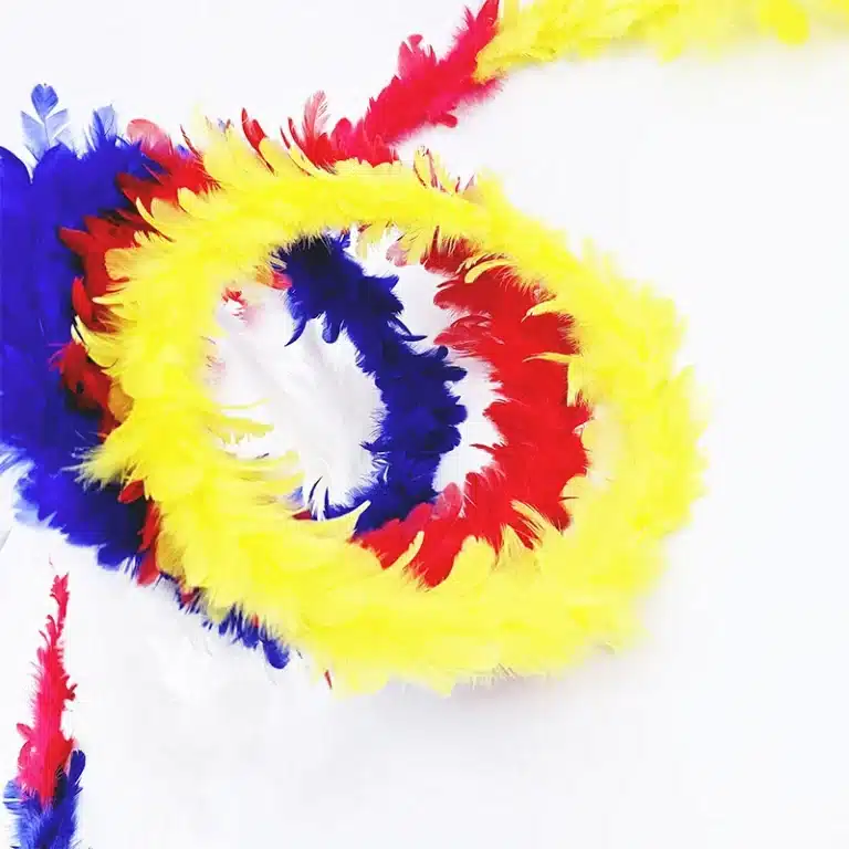 Couronne de plumes tour de magie 3