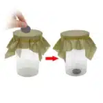 Infiltration pièce de monnaie 1