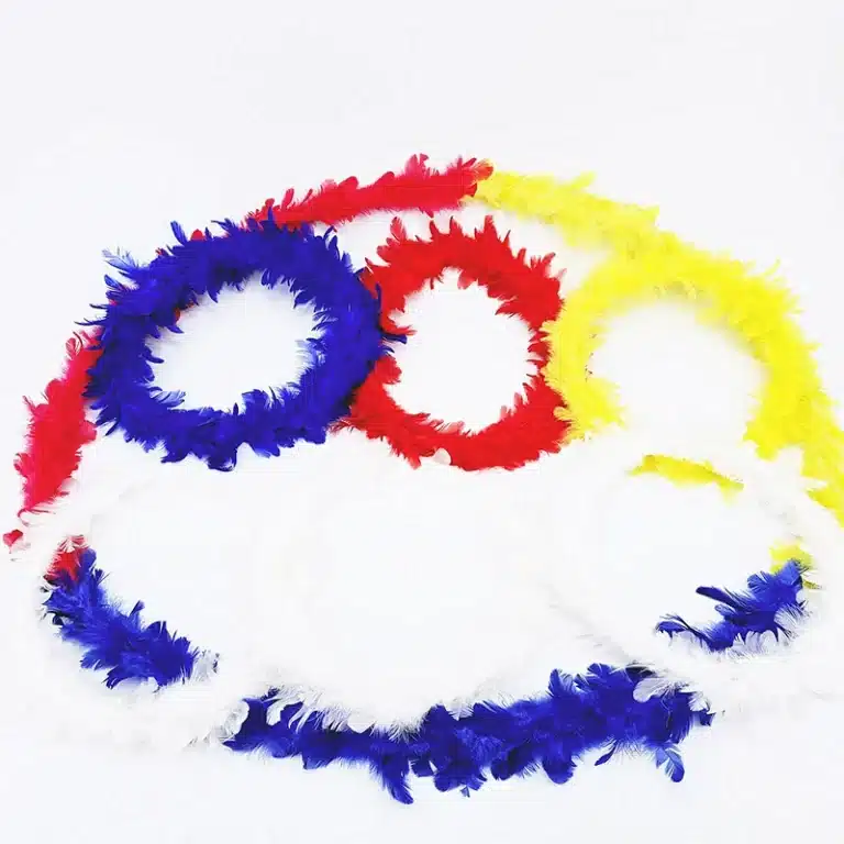 Couronne de plumes tour de magie 6