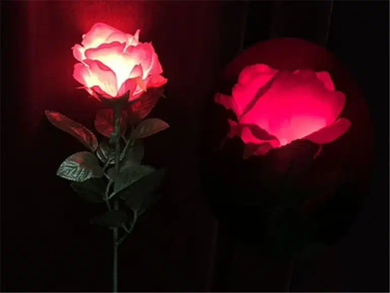 Roses lumineuses pour tours de magie 5