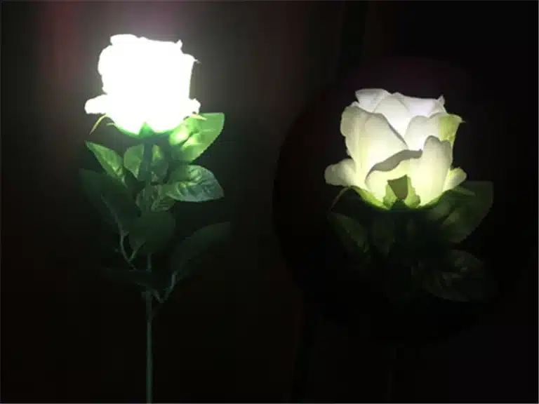 Roses lumineuses pour tours de magie 4