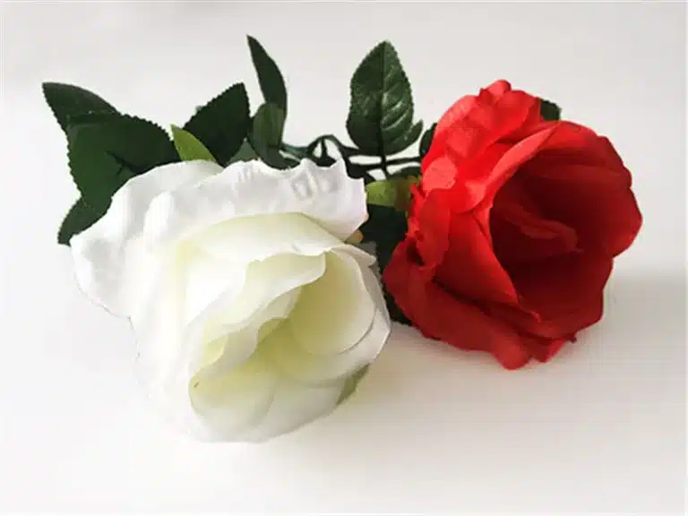 Roses lumineuses pour tours de magie 3