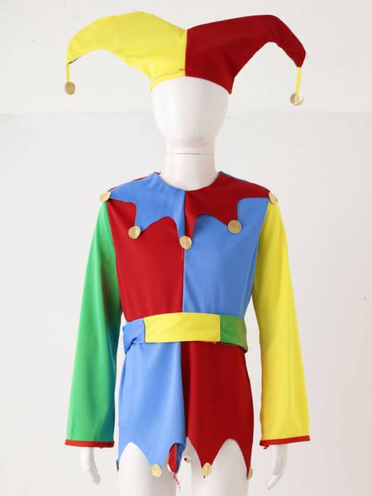 Costume fou du roi enfants 22
