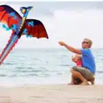 Cerf-volant dragon monofil 5