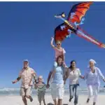 Cerf-volant dragon monofil 4