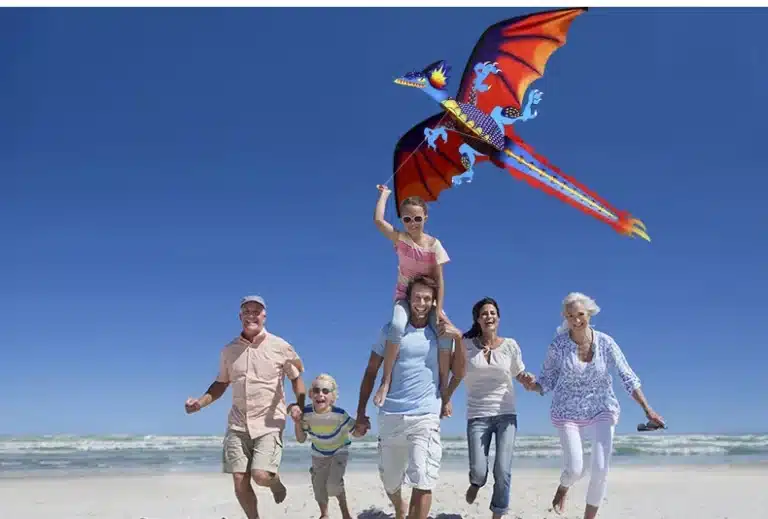 Cerf-volant dragon monofil 4