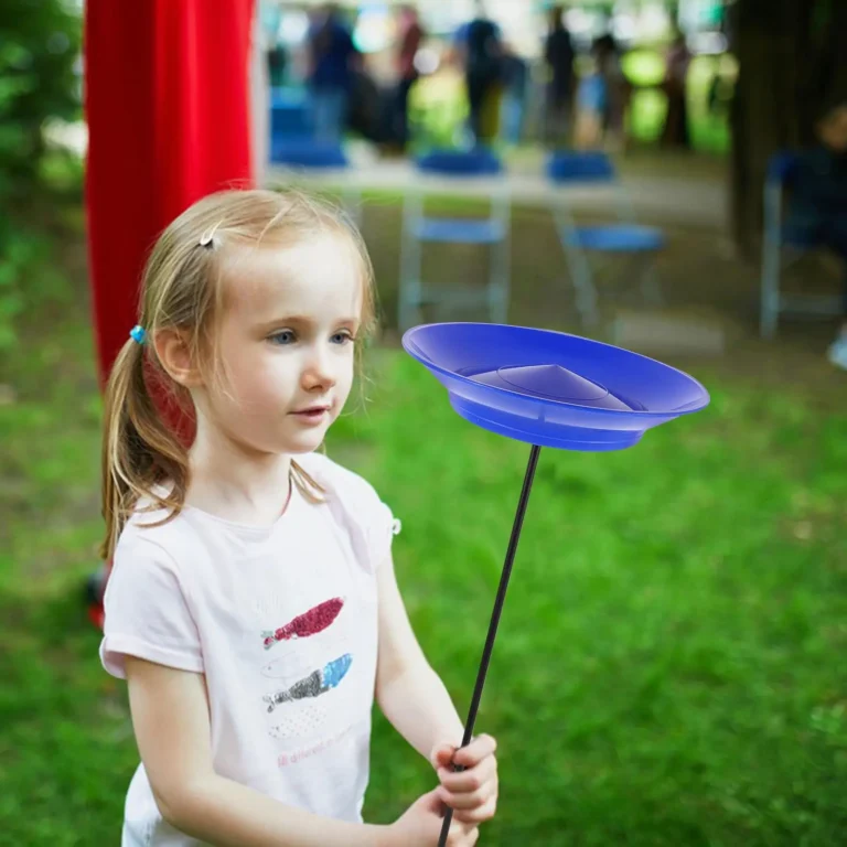 Assiettes chinoises (lot de 2) 5