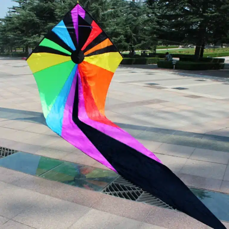 Cerf-volant delta rainbow 4