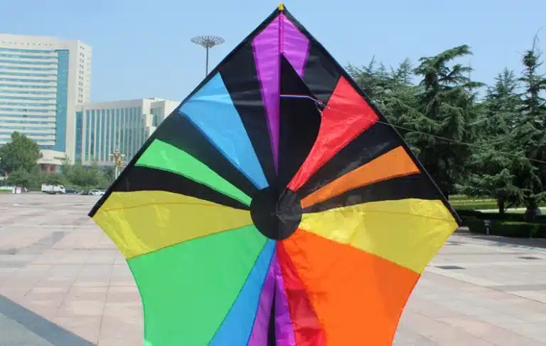 Cerf-volant delta rainbow 6
