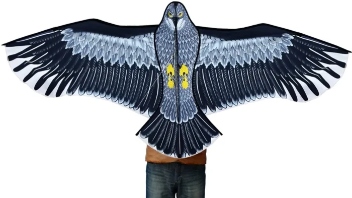 Cerf volant aigle monofil 4