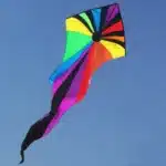Cerf-volant delta rainbow 5